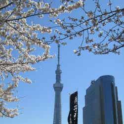 「トリップアドバイザー提供」