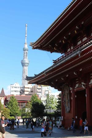 「トリップアドバイザー提供」