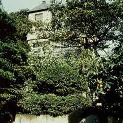 「トリップアドバイザー提供」