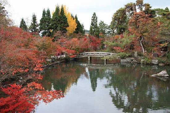 トリップアドバイザー提供