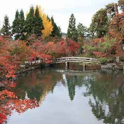 トリップアドバイザー提供