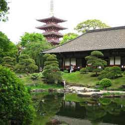 「トリップアドバイザー提供」