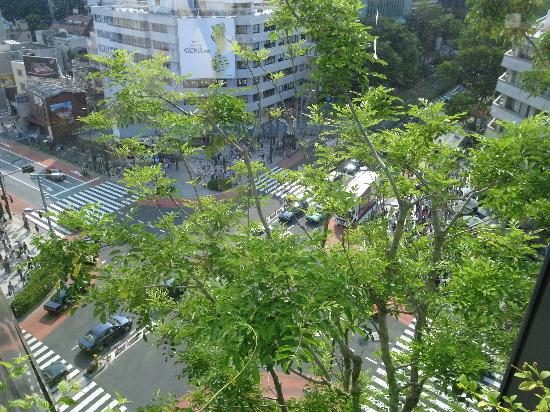 「トリップアドバイザー提供」