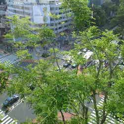 「トリップアドバイザー提供」