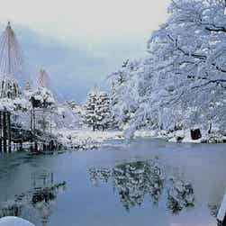 トリップアドバイザー提供