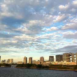 「トリップアドバイザー提供」