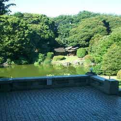 「トリップアドバイザー提供」