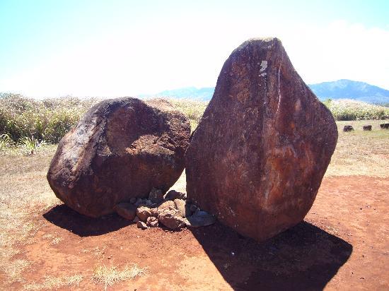 トリップアドバイザー提供