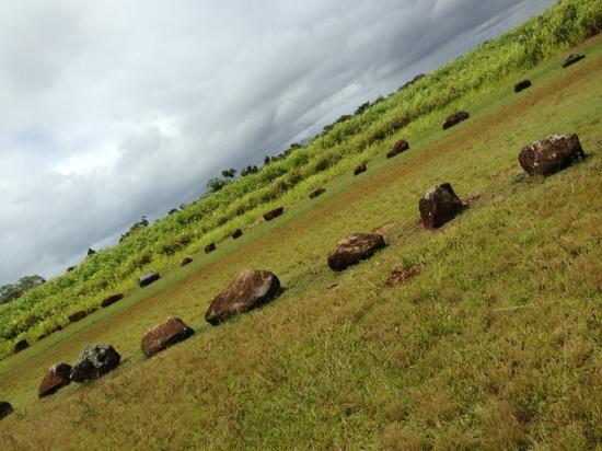 トリップアドバイザー提供
