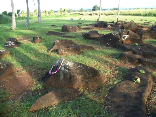 トリップアドバイザー提供