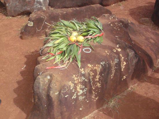 トリップアドバイザー提供