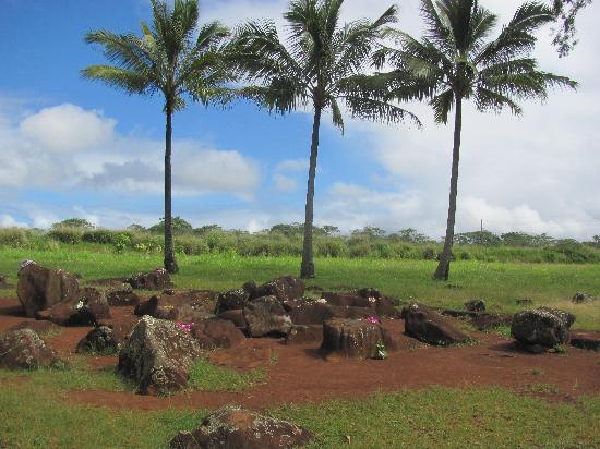 トリップアドバイザー提供