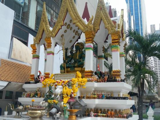 トリップアドバイザー提供