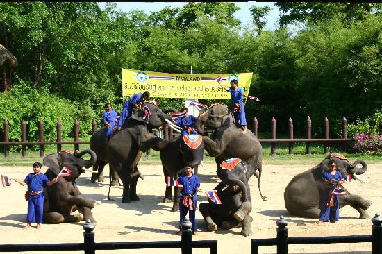 トリップアドバイザー提供