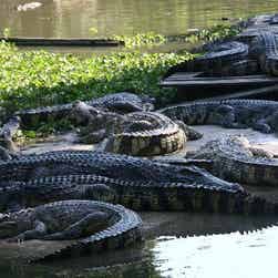 トリップアドバイザー提供