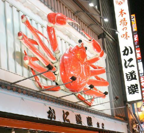 トリップアドバイザー提供