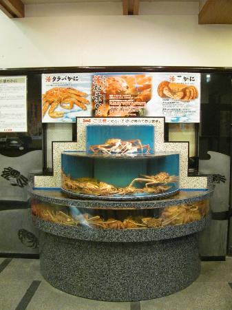 トリップアドバイザー提供