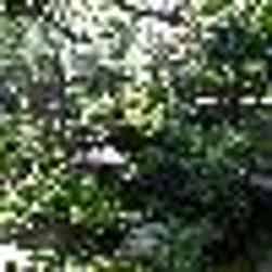 トリップアドバイザー提供