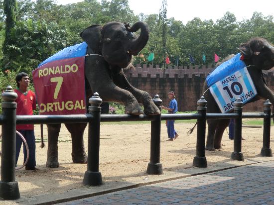 トリップアドバイザー提供