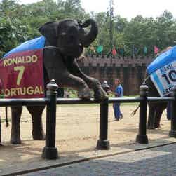 トリップアドバイザー提供