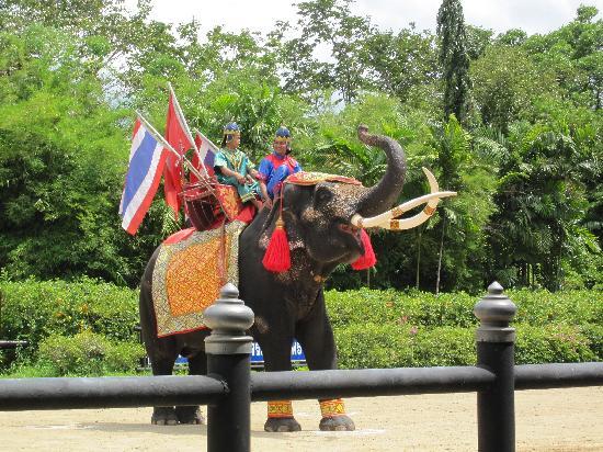 トリップアドバイザー提供