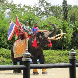 トリップアドバイザー提供