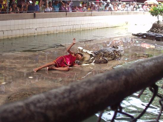 トリップアドバイザー提供