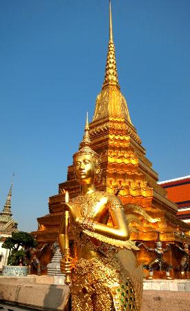 トリップアドバイザー提供