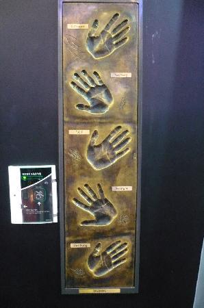 トリップアドバイザー提供