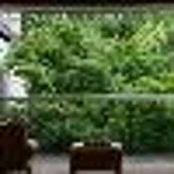 トリップアドバイザー提供