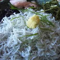 トリップアドバイザー提供