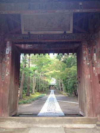 トリップアドバイザー提供