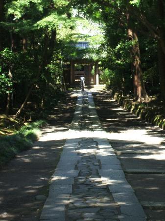 トリップアドバイザー提供