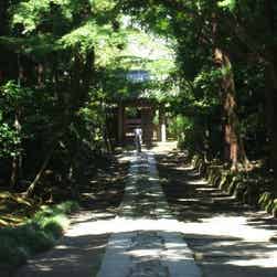 トリップアドバイザー提供