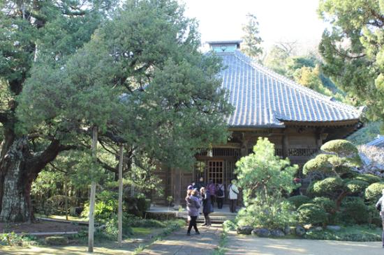 トリップアドバイザー提供