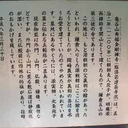 トリップアドバイザー提供