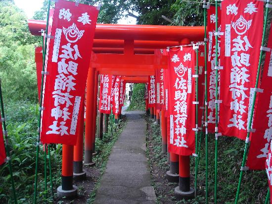 トリップアドバイザー提供