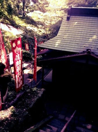 トリップアドバイザー提供