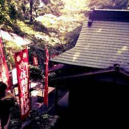 トリップアドバイザー提供