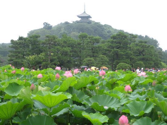 トリップアドバイザー提供