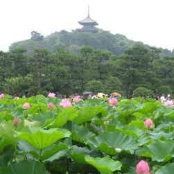 トリップアドバイザー提供