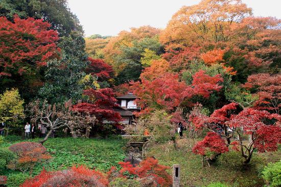 トリップアドバイザー提供