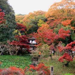 トリップアドバイザー提供