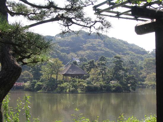 トリップアドバイザー提供