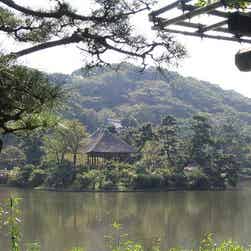 トリップアドバイザー提供