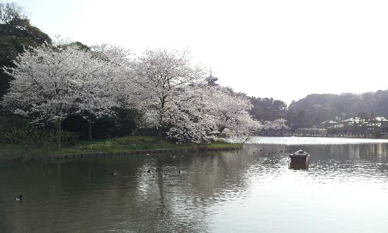 トリップアドバイザー提供
