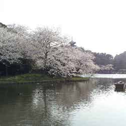 トリップアドバイザー提供