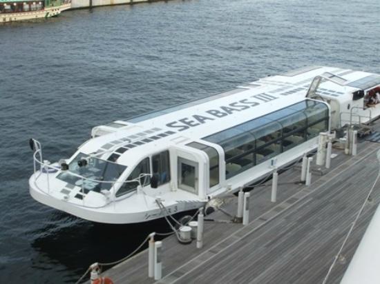 トリップアドバイザー提供