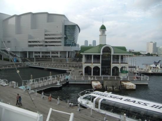 トリップアドバイザー提供