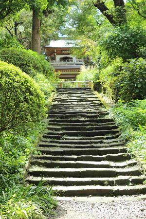 トリップアドバイザー提供